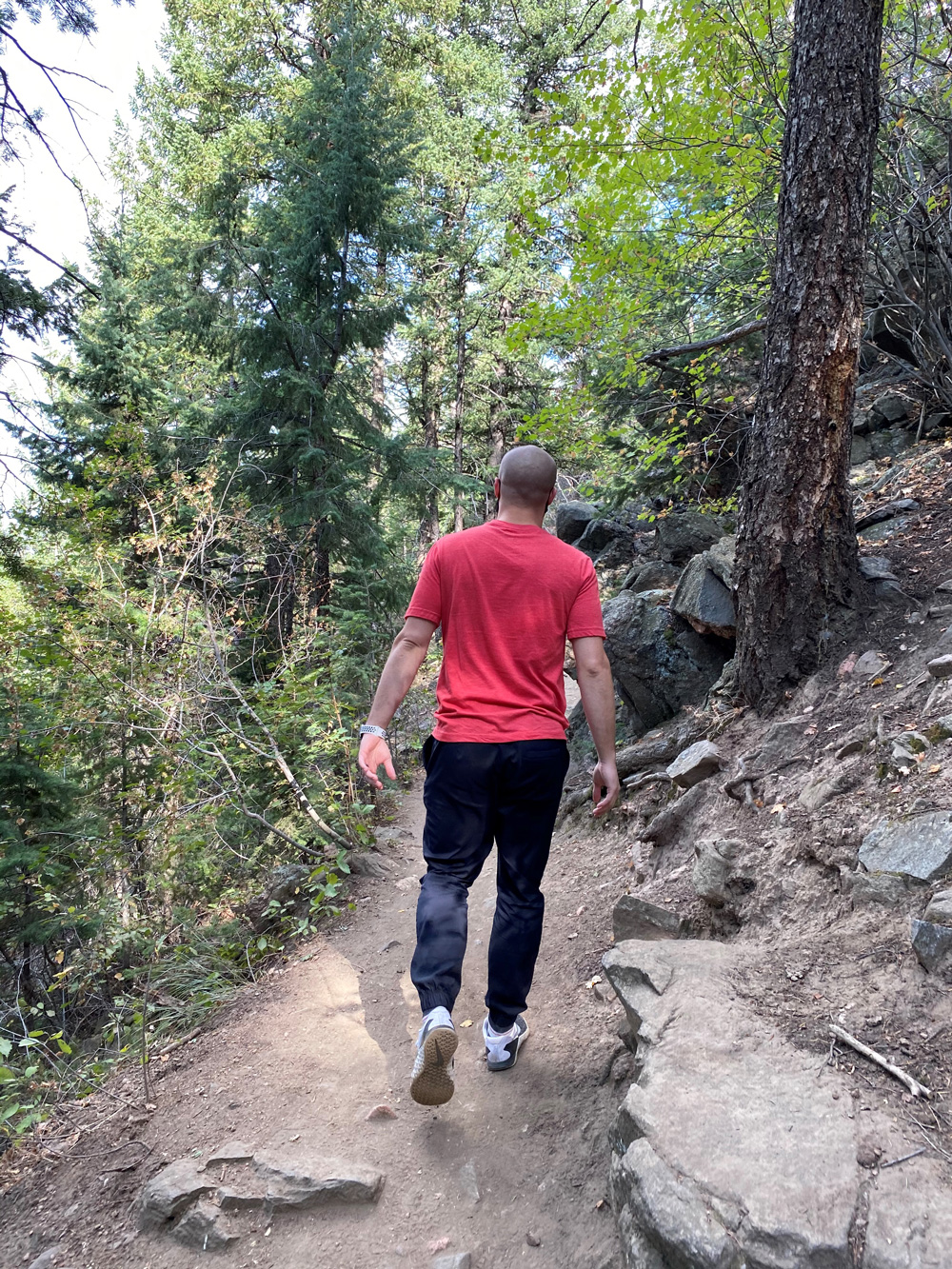 A man in a red shirt walking through a forest in Bethesda.