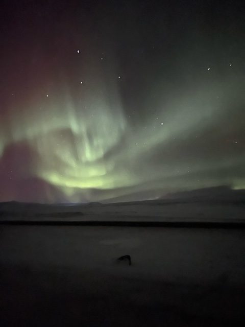 Nothern lights over a snowy field.